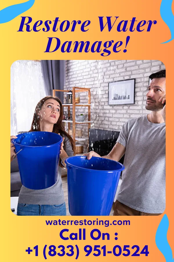 water restoration Expert Mitigation Network St. Ignace