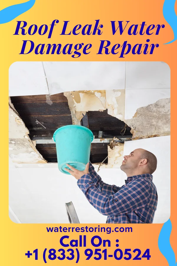 Roof Leak Water Damage Repair in St. Ignace, MI